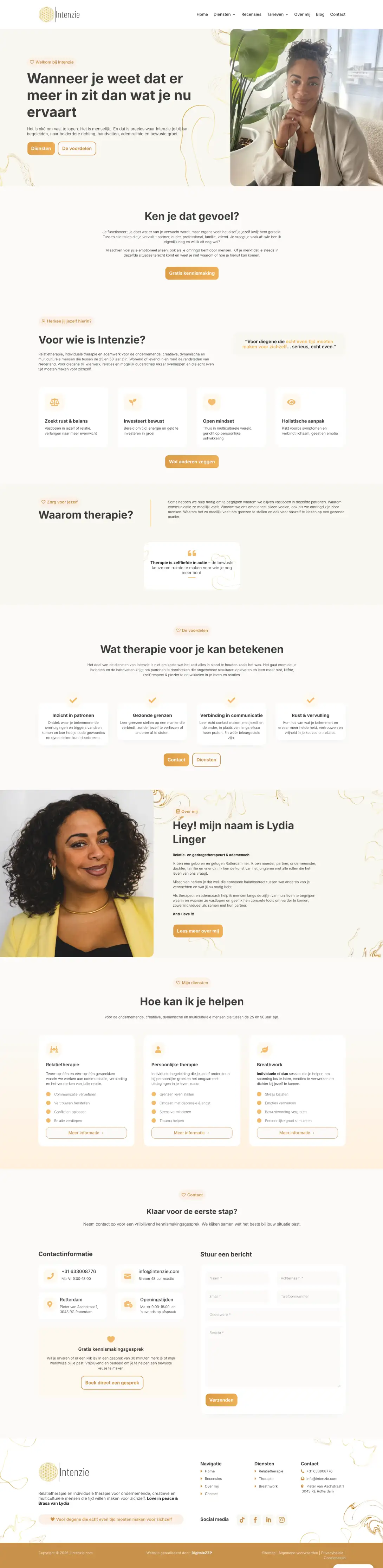 Intenzie website